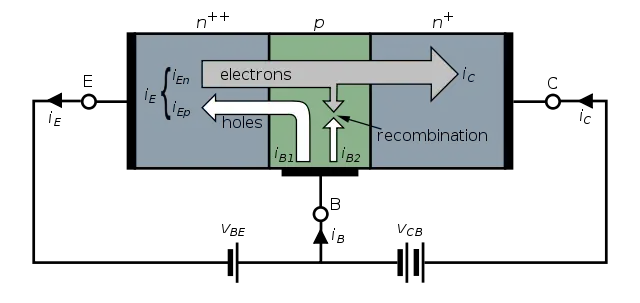 Working principle of Bipolar Junction Transistors- NPN BJT